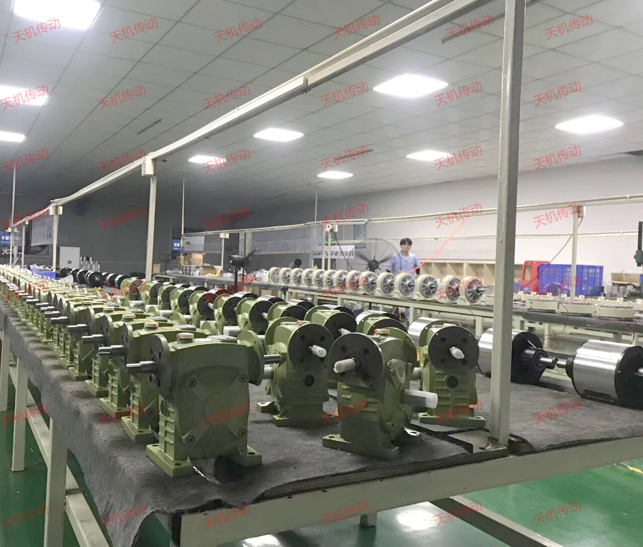 WPS蝸輪蝸桿齒輪減速機(jī)